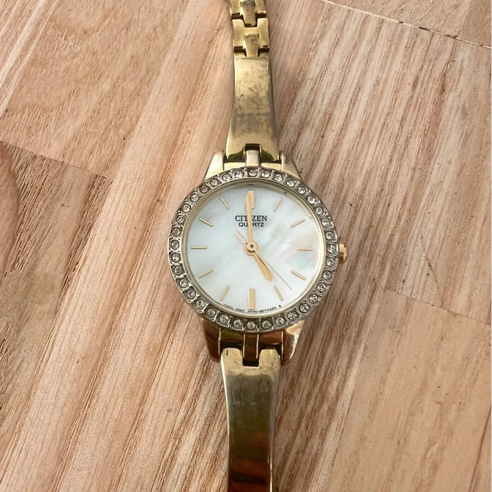 Citizen please s074580 working